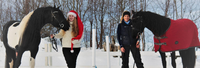 Romjulstreff på travbanen